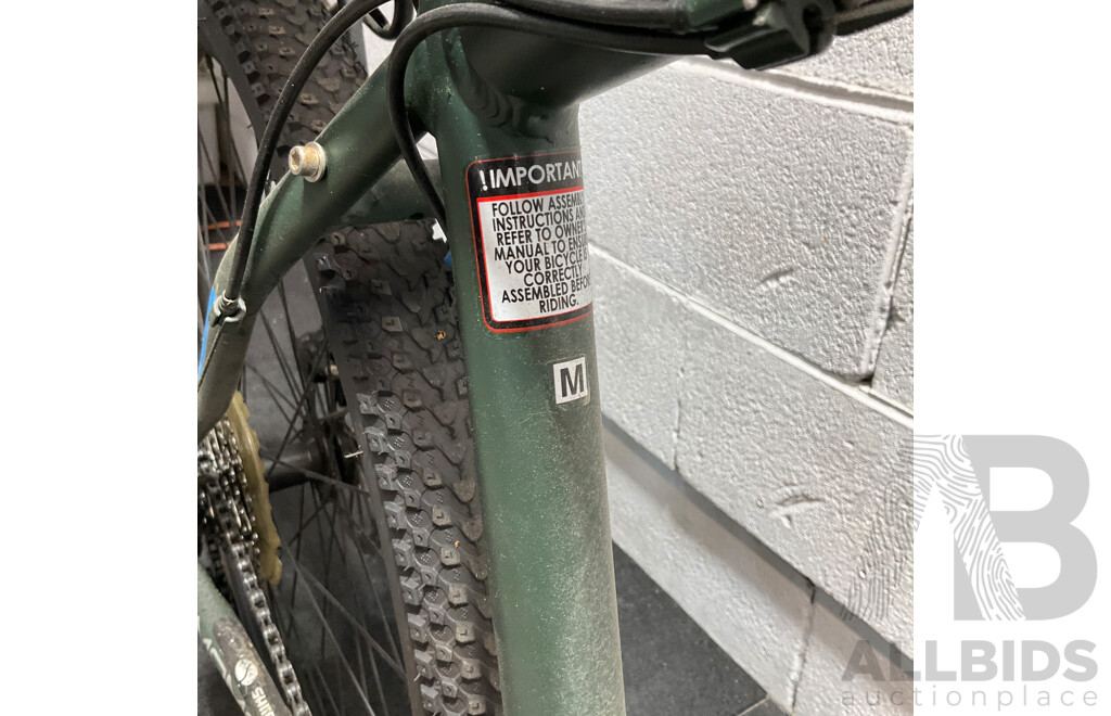 Fluid Momentum Mountain Bike