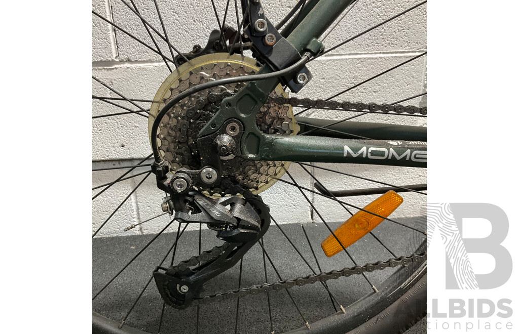 Fluid Momentum Mountain Bike
