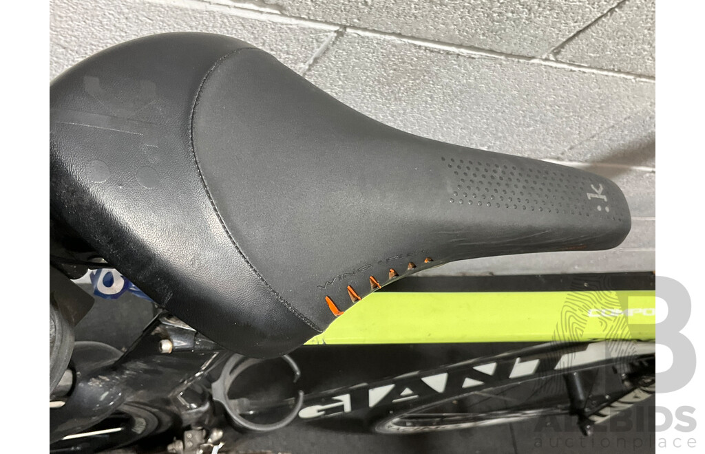 GIANT Trinity Composite Road  Bike