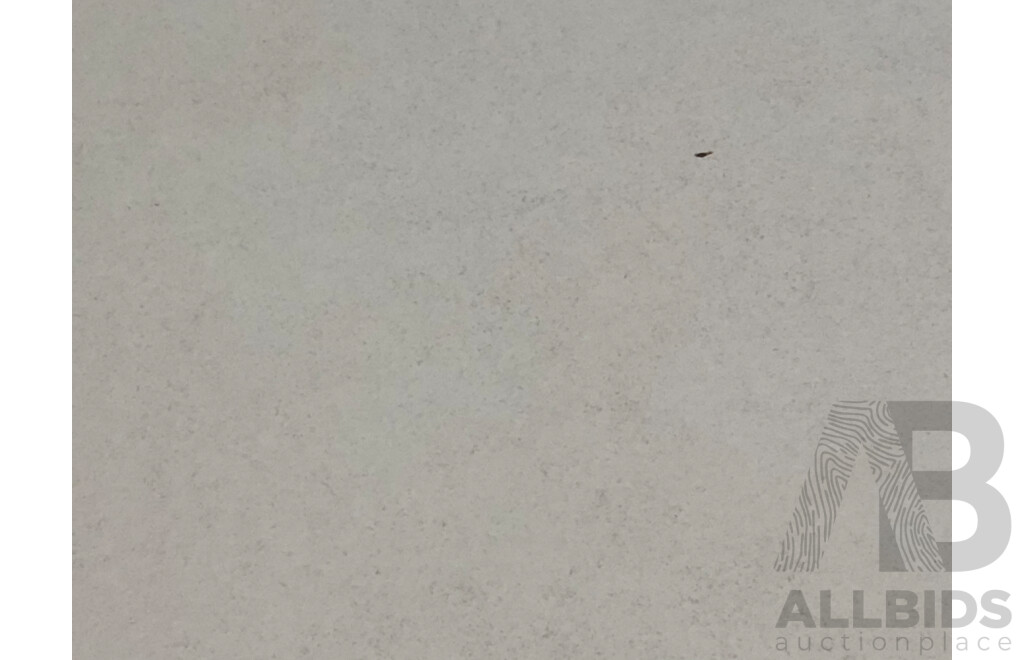 Plaza White Lappato 300mm X 600mm Porclian Wall & Floor Tiles - 9.72m2 - Brand New - ORP $631.80