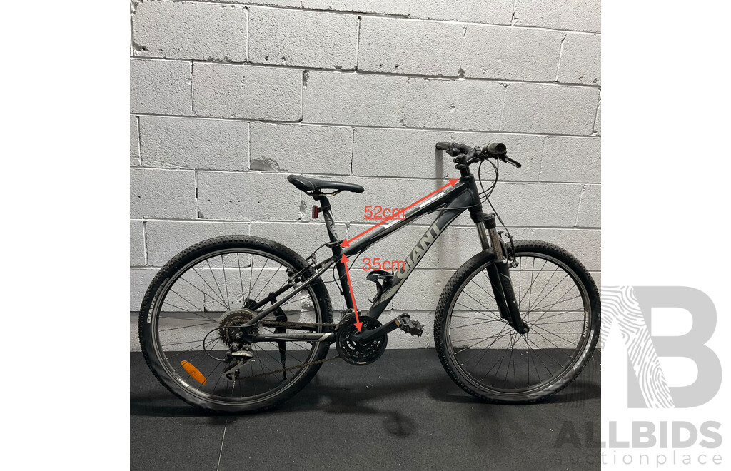 GIANT Revel Mountain Bike