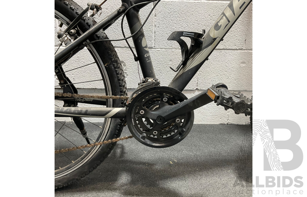 GIANT Revel Mountain Bike