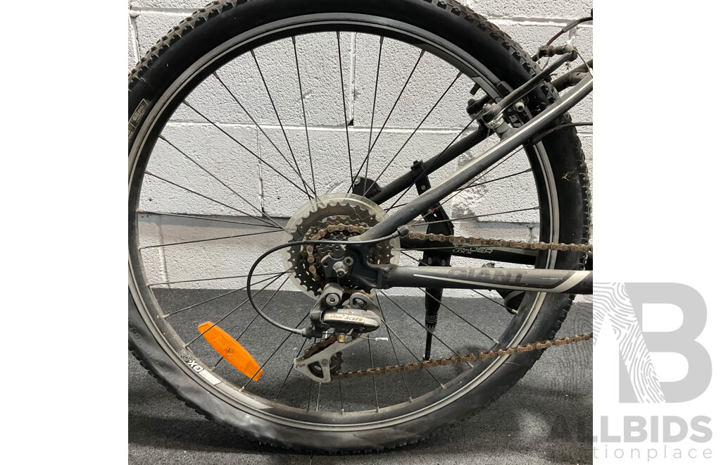 GIANT Revel Mountain Bike