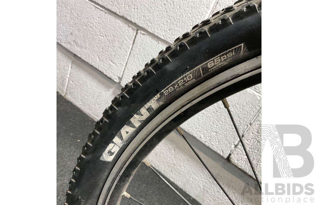 GIANT Revel Mountain Bike
