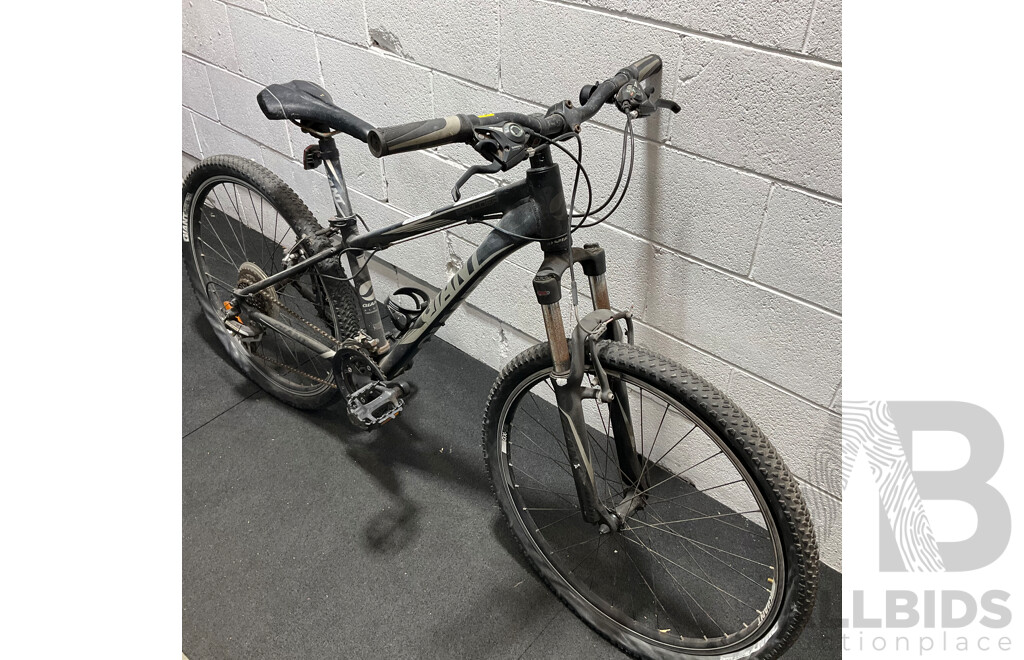GIANT Revel Mountain Bike