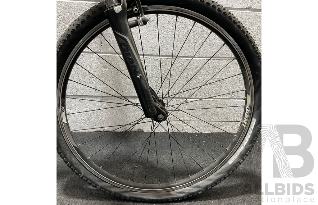 GIANT Revel Mountain Bike