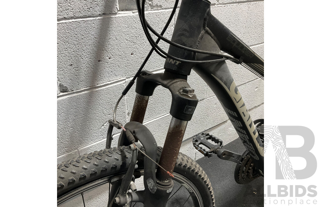 GIANT Revel Mountain Bike