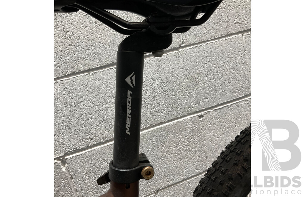 MERIDA Big Seven 60 Mountain  Bike