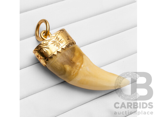 Vintage 22ct Yellow Gold & Tiger Tooth Pendant