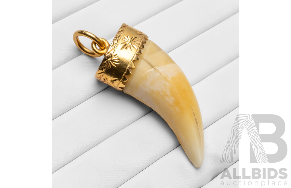 Vintage 22ct Yellow Gold & Tiger Tooth Pendant