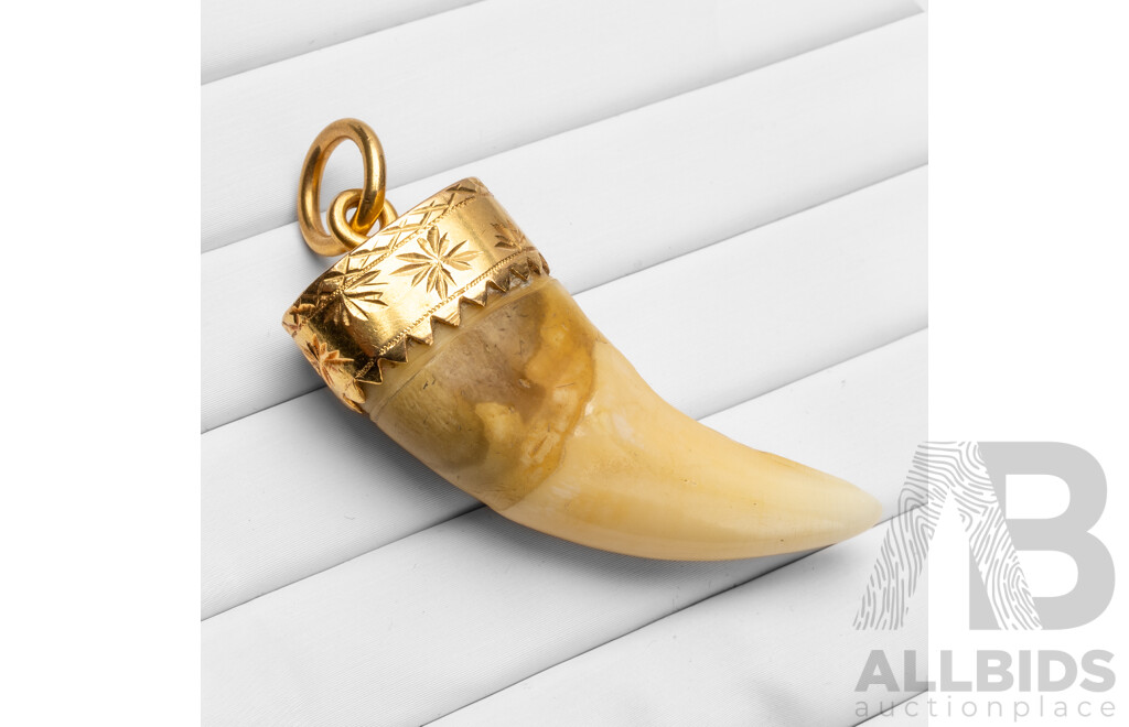 Vintage 22ct Yellow Gold & Tiger Tooth Pendant