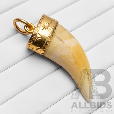 Vintage 22ct Yellow Gold & Tiger Tooth Pendant