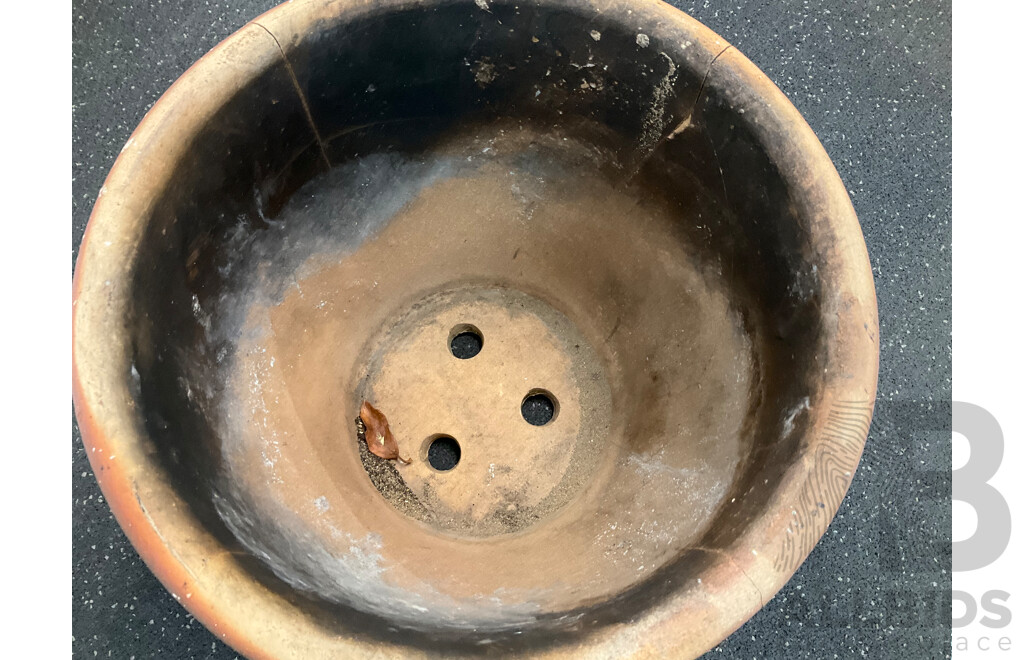 Garden Pot