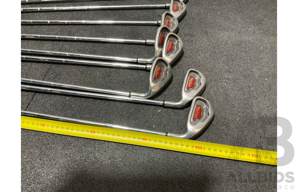CALLAWAY BIG BERTHA Golf Clubs with Carry Bag & Other