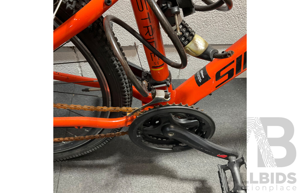 SILVERBACK Mountain Bike