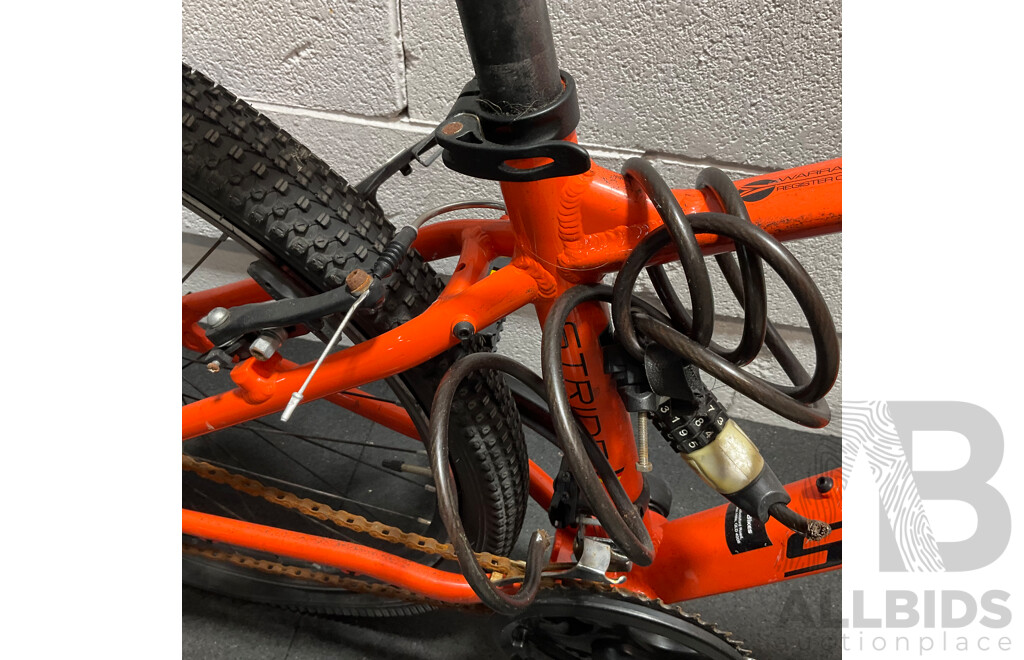 SILVERBACK Mountain Bike