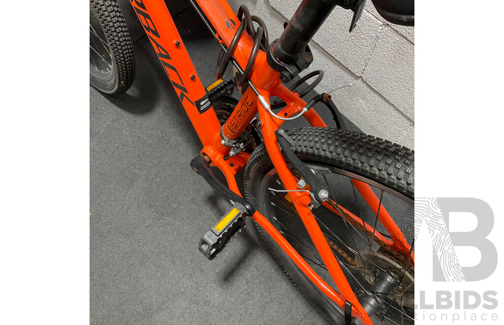 SILVERBACK Mountain Bike