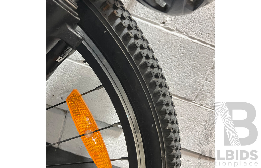 SILVERBACK Mountain Bike