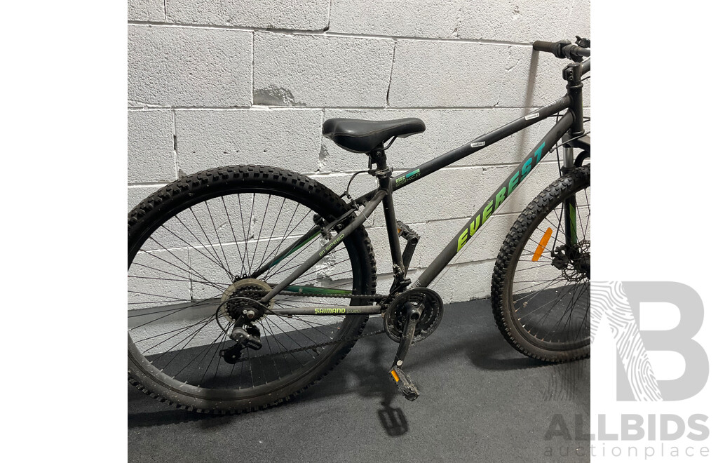 EVERLAST Mountain Bike
