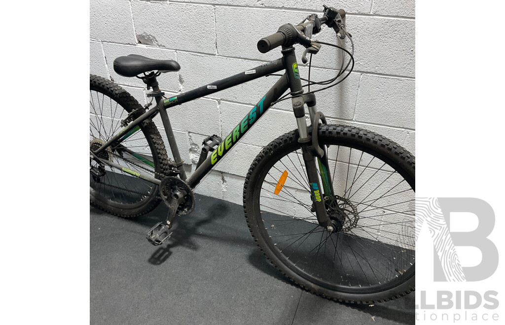 EVERLAST Mountain Bike