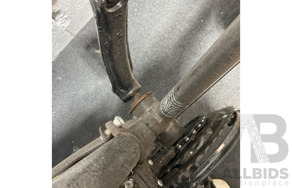EVERLAST Mountain Bike