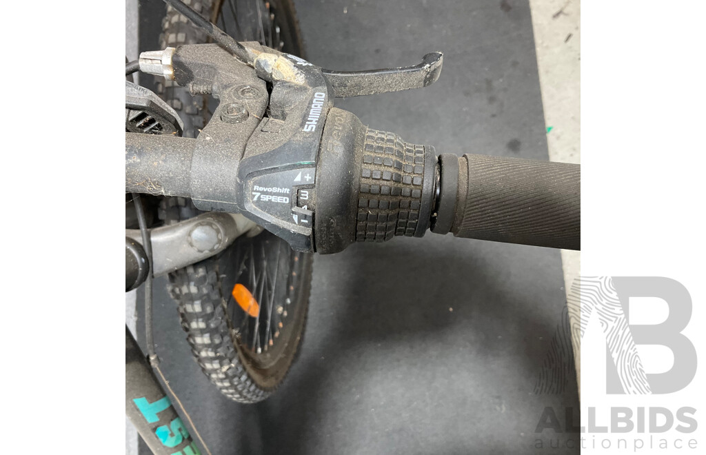 EVERLAST Mountain Bike