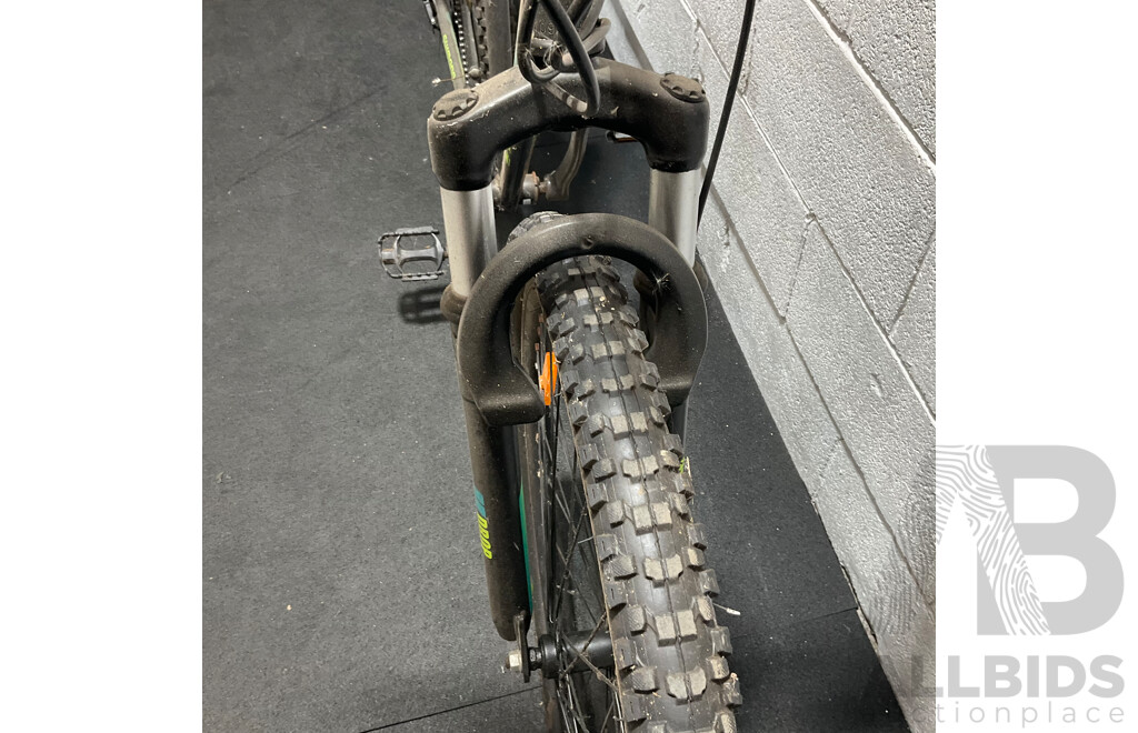 EVERLAST Mountain Bike