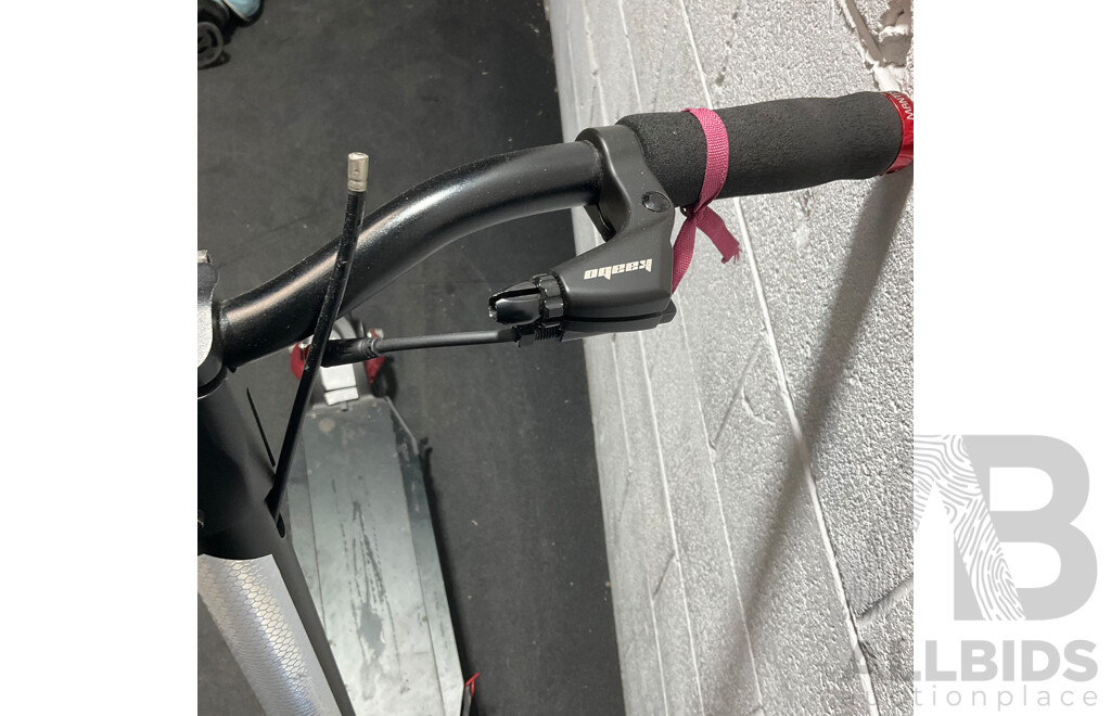 KAABO Mantis 10 Electric Scooter