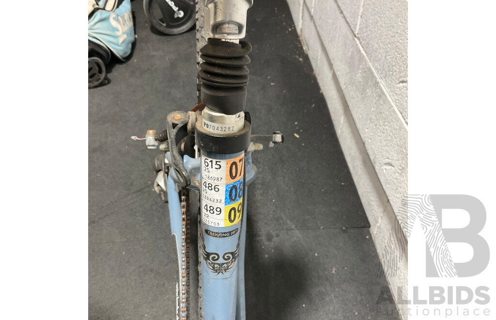 CALIFORNIA Hybird Bike