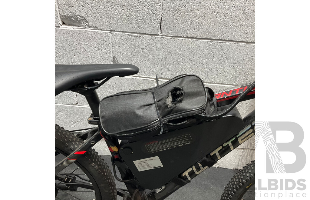 TEITTER Mountain Bike Modifide to Electric