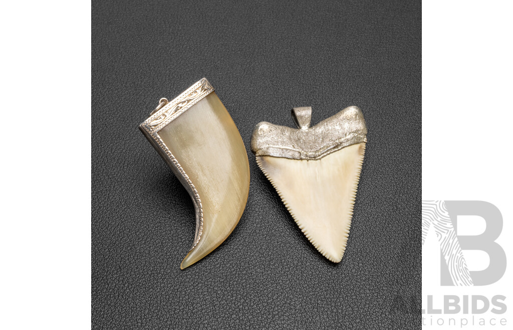 Sterling Silver Pendants with Genuine Tiger Claw & Shark Tooth