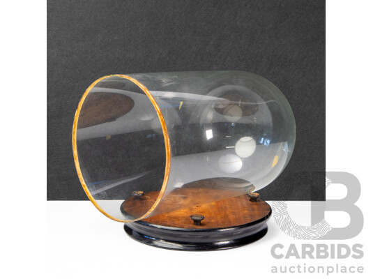 Vintage Bell Form Glass Cloche on Timber Base