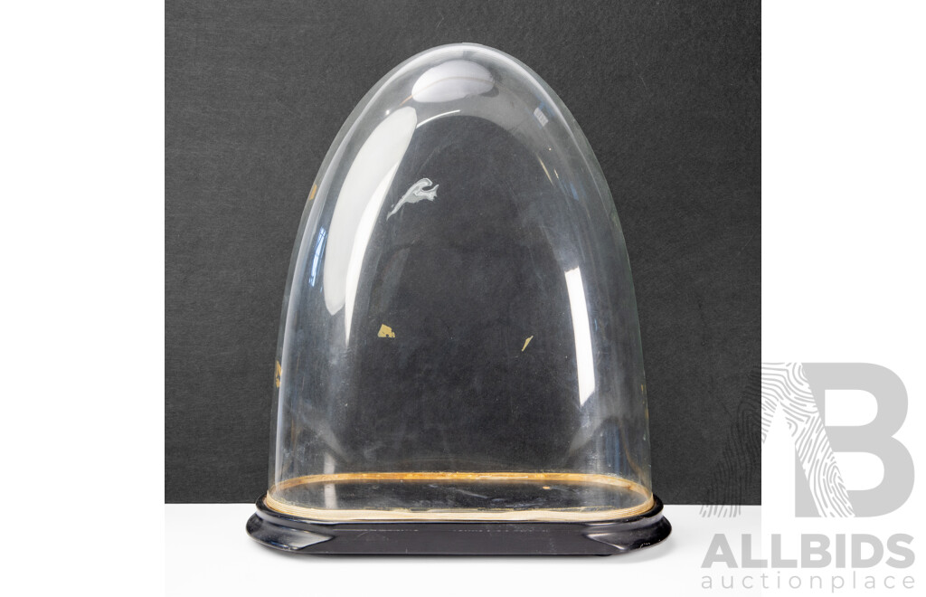 Vintage Glass Cloche on Timber Base