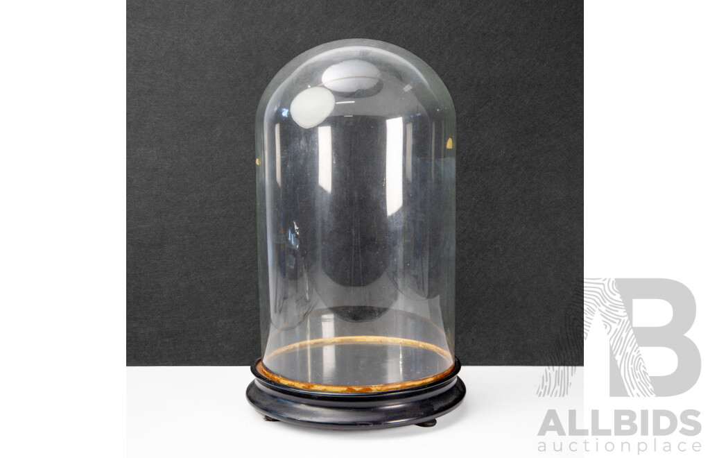 Vintage Bell Form Glass Cloche on Timber Base
