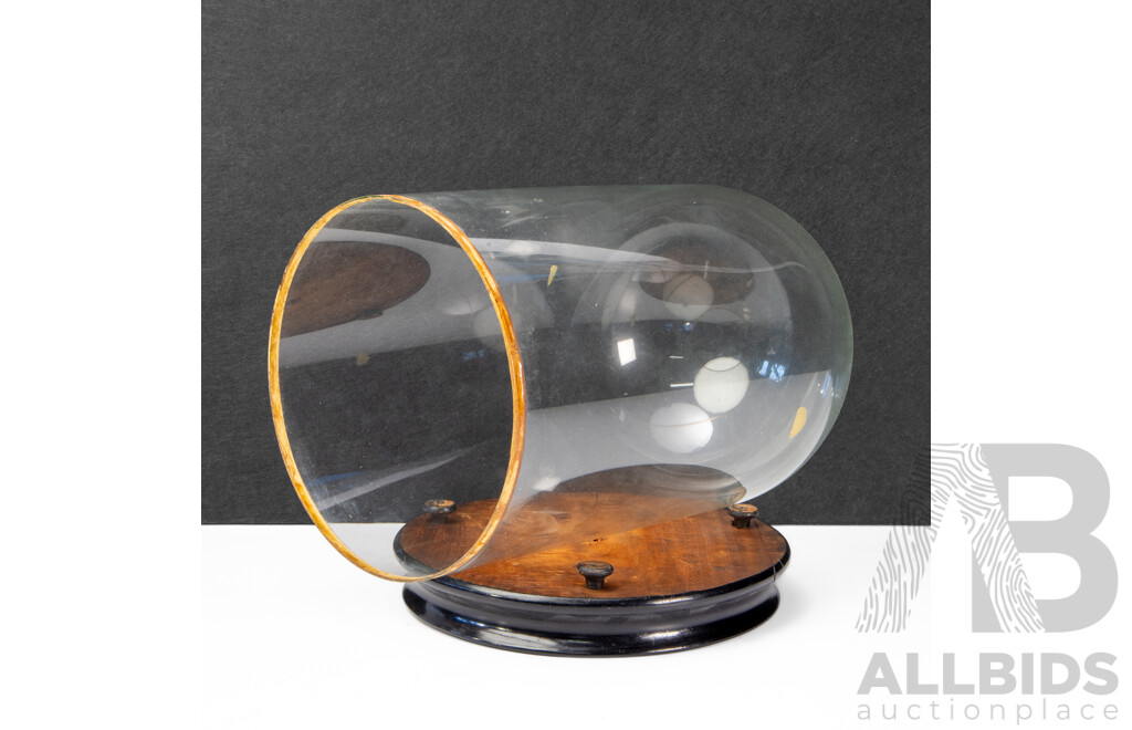 Vintage Bell Form Glass Cloche on Timber Base