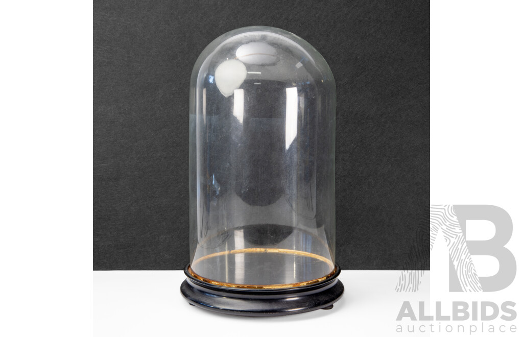 Vintage Bell Form Glass Cloche on Timber Base