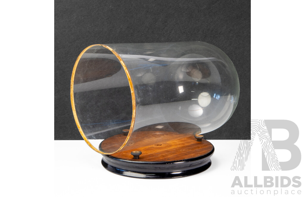 Vintage Bell Form Glass Cloche on Timber Base