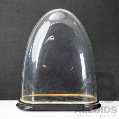 Vintage Glass Cloche on Timber Base