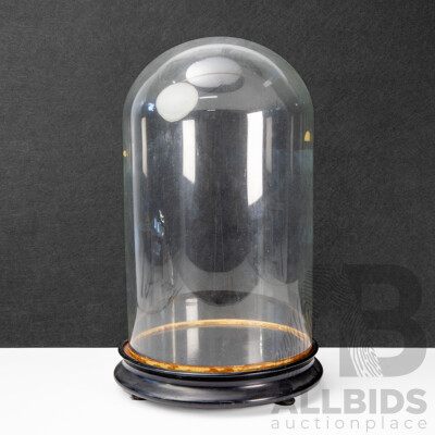 Vintage Bell Form Glass Cloche on Timber Base