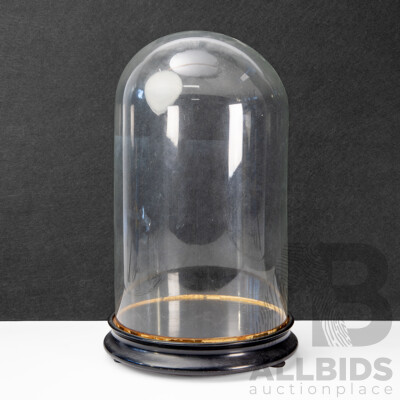 Vintage Bell Form Glass Cloche on Timber Base