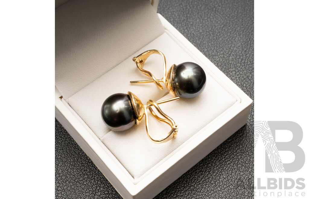 18ct (750) Yellow Gold & Tahitian Pearl Earrings with Valuation - 12.61gms