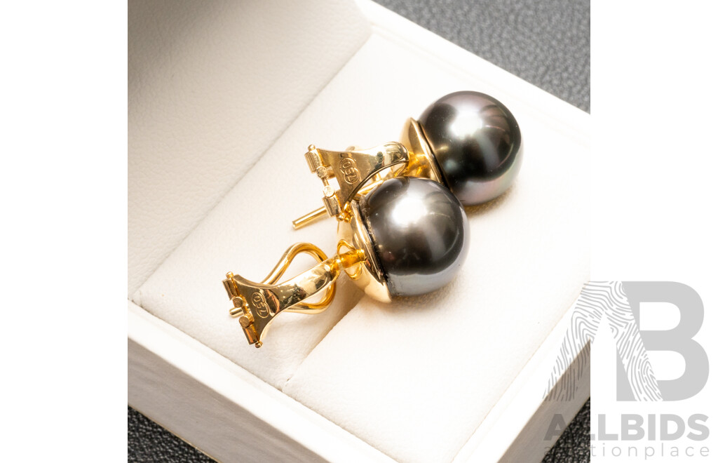 18ct (750) Yellow Gold & Tahitian Pearl Earrings with Valuation - 12.61gms