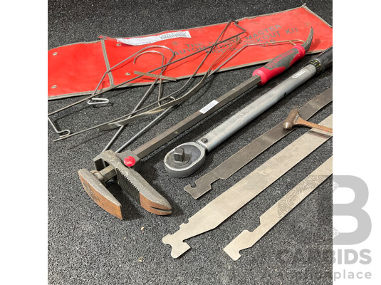 THE GRAB MASTER Automotive Lockout Kit, CRESCENT  Long-reach Locking Pliers/clamp Tool and Adjustable Torque Wrench