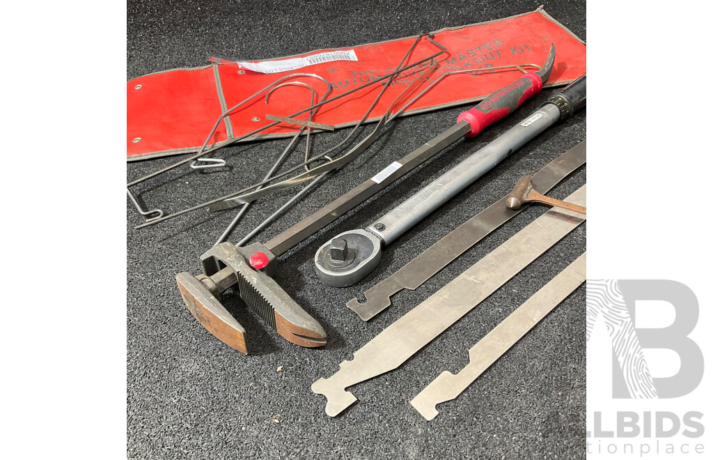 THE GRAB MASTER Automotive Lockout Kit, CRESCENT  Long-reach Locking Pliers/clamp Tool and Adjustable Torque Wrench