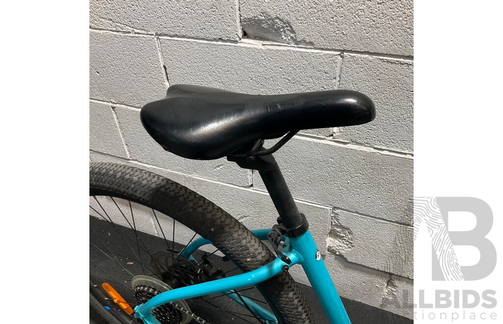 PEDAL Orion Cruiser Bike