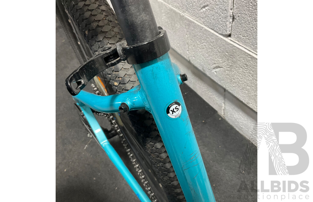 PEDAL Orion Cruiser Bike