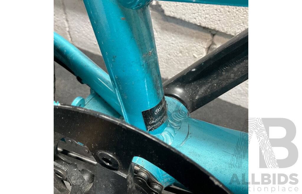 PEDAL Orion Cruiser Bike