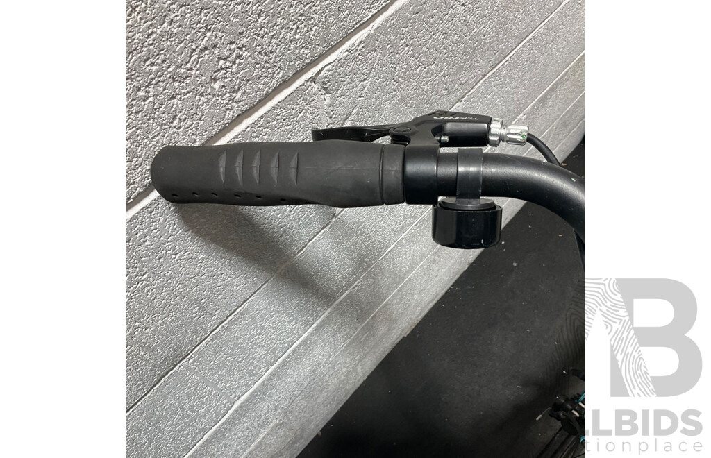 PEDAL Orion Cruiser Bike