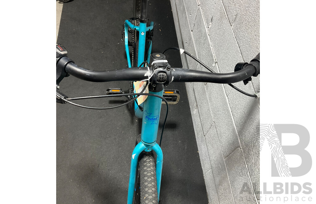 PEDAL Orion Cruiser Bike