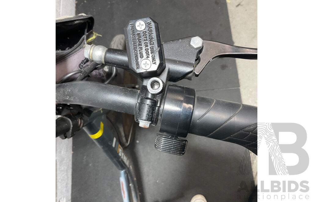VINXS Electric Bike
